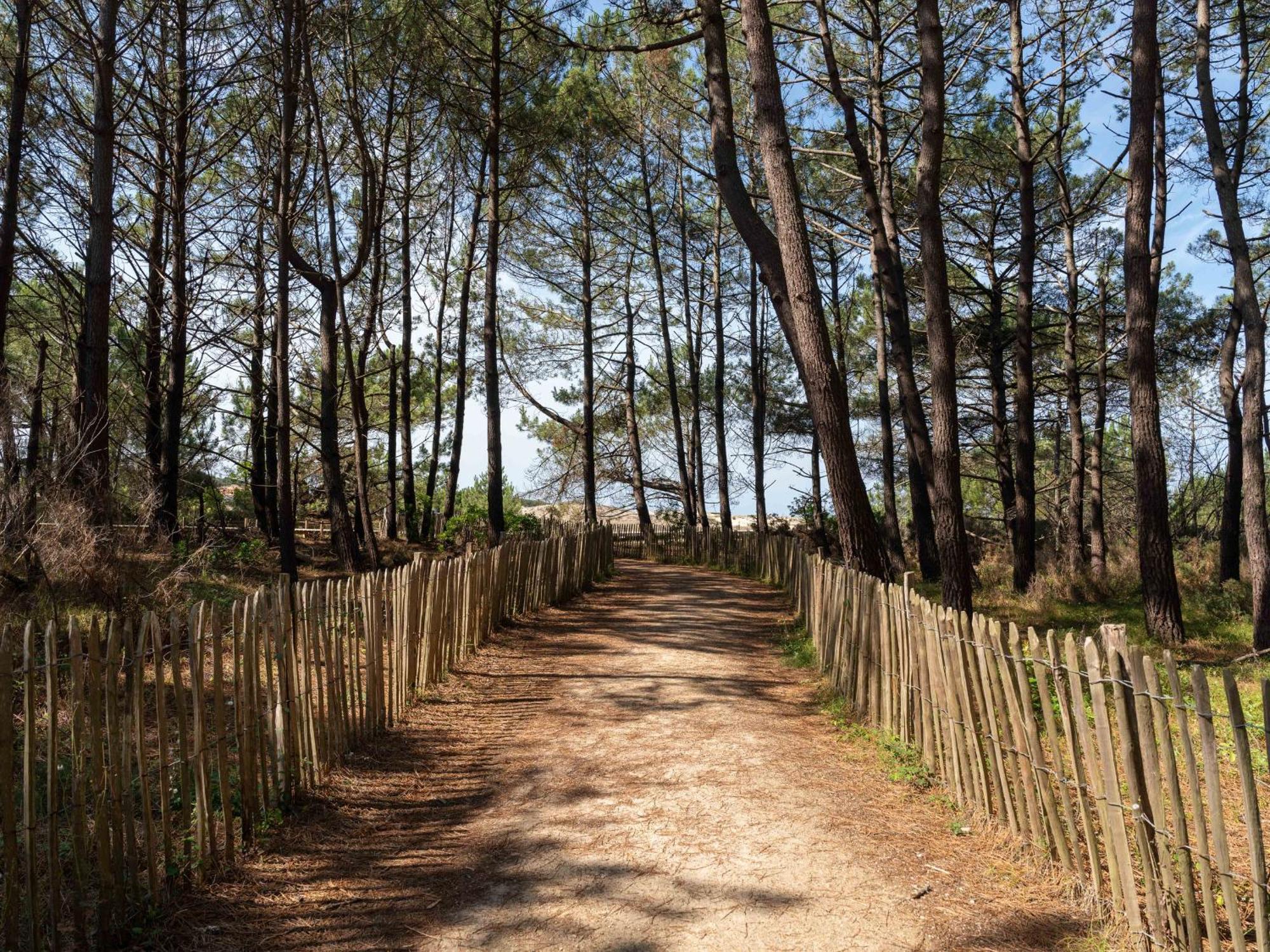 Appartement A Deux Pas De La Mer, Biscarrosse Plage - 4 Pers. - Terrasse Et Parking Inclus - Fr-1-319-447 Εξωτερικό φωτογραφία